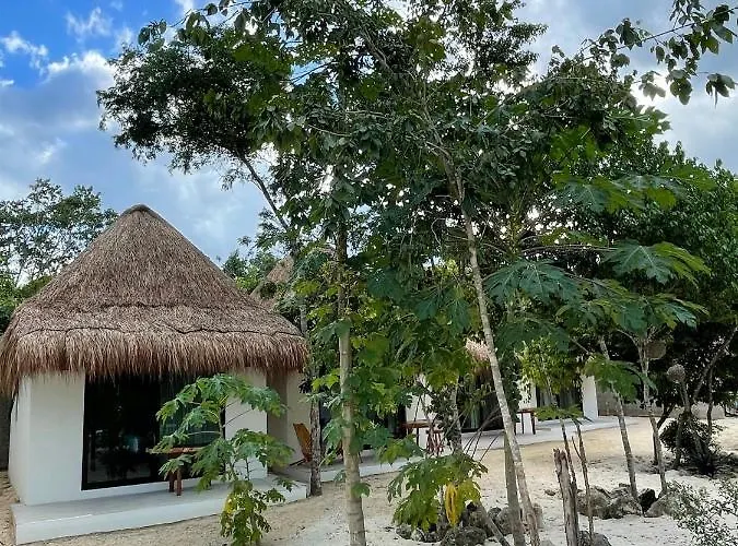 The Reserve 3*